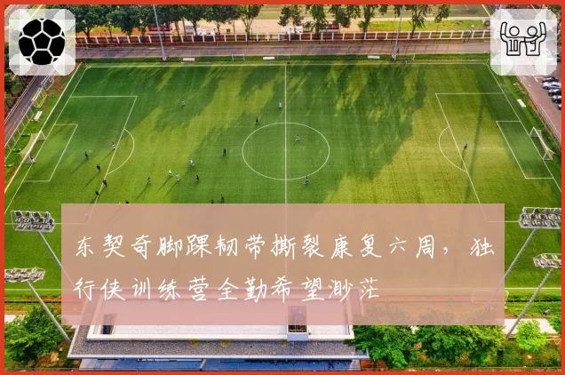 东契奇脚踝韧带撕裂康复六周,独行侠训练营全勤希望渺茫